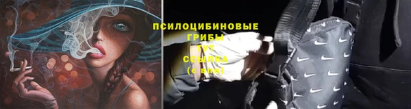 метадон Пестово