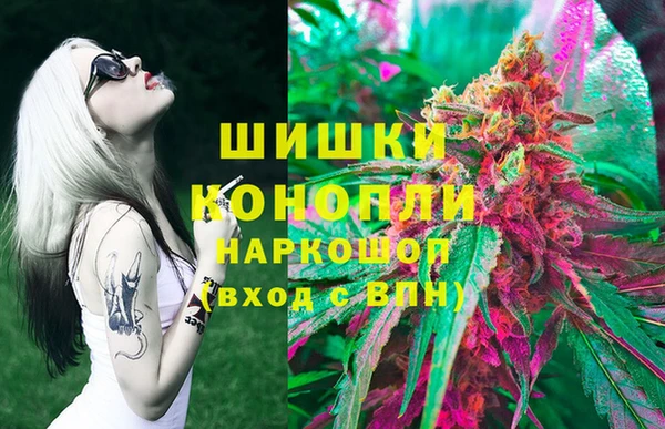 гидра Переславль-Залесский